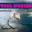 panagiotis
