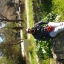 george