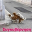 Γιώργος