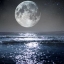 BlueRose