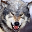 JIM (ΔΗΜΗΤΡΗΣ) 
