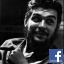 Nick Ginis