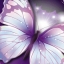 butterfly25