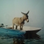 kerkyra
