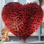 ♥Katerina♥Alex♥ŁǾǿṼẼ
